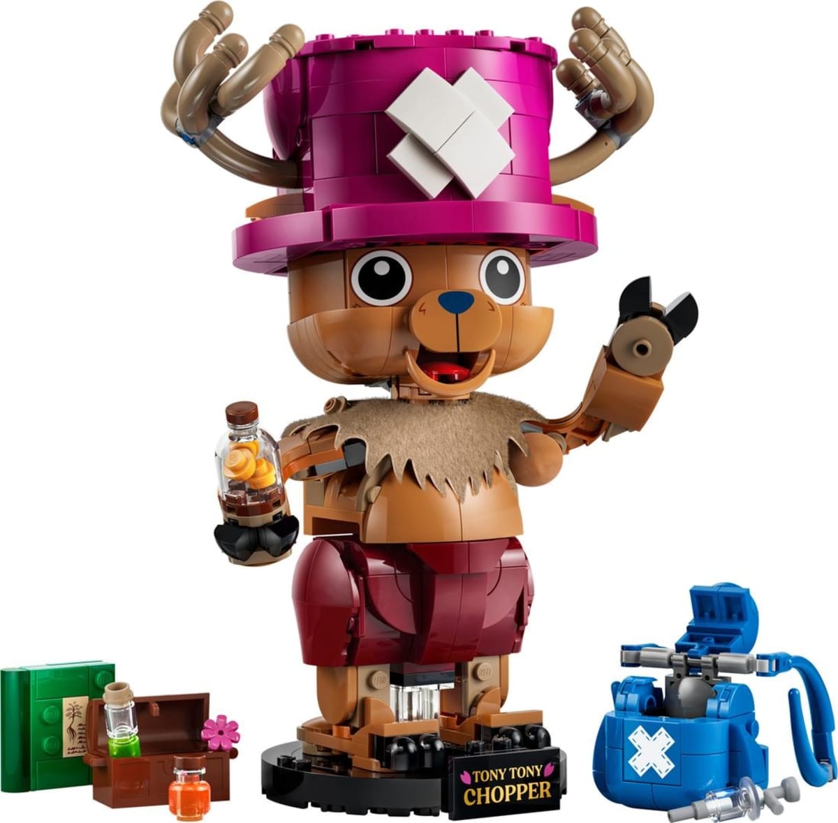 Tony Tony Chopper – widok główny
