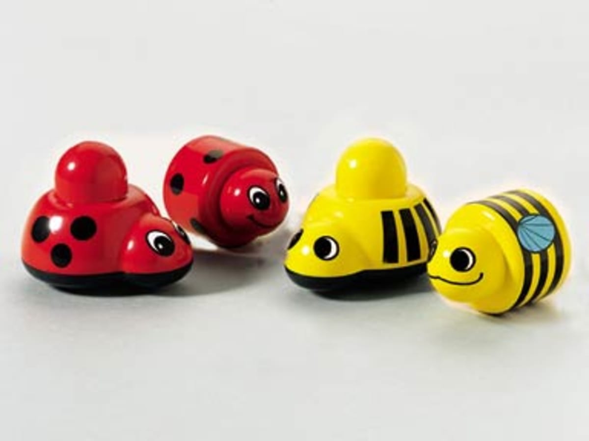 My Racing Bugs – widok główny