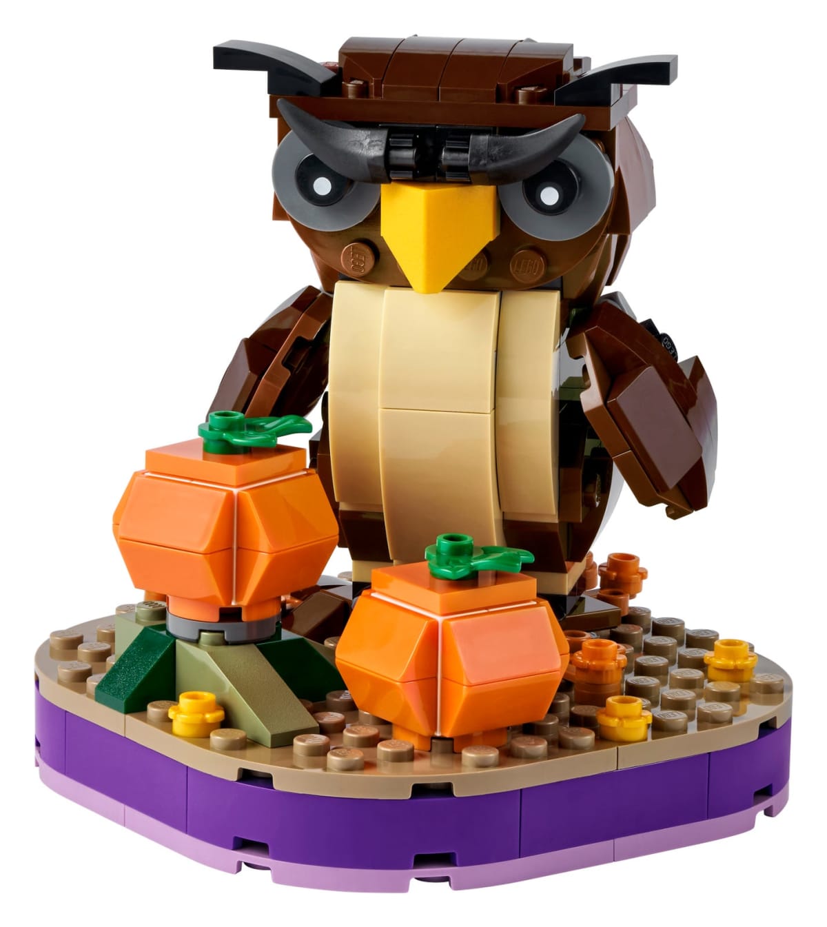 Halloween Owl – widok główny