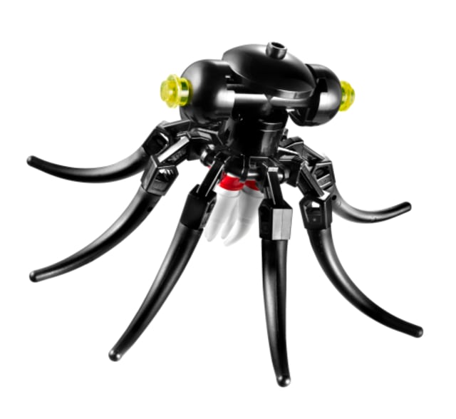 Octopus