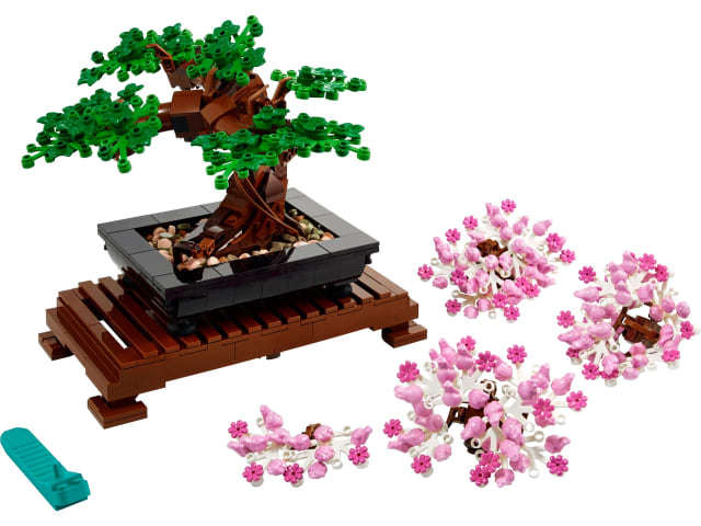 Drzewko bonsai