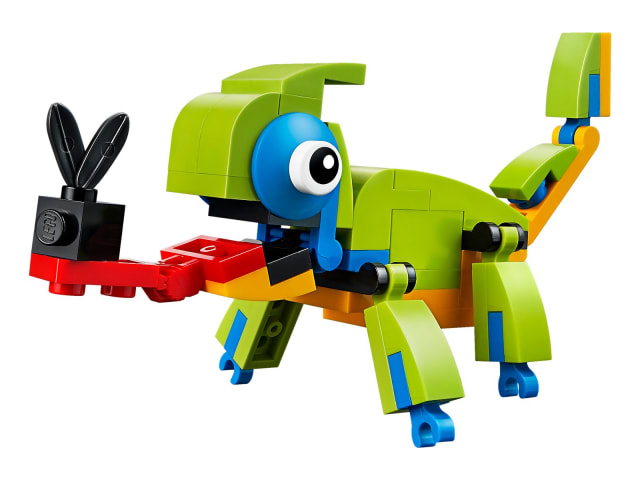 Colorful Chameleon