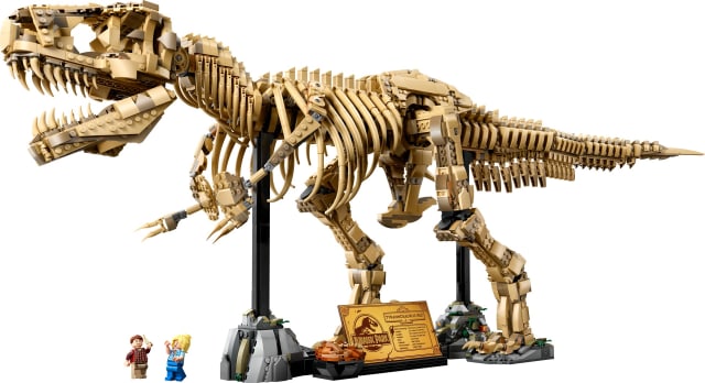 Szkielety dinozaurów: tyranozaur