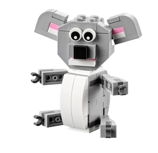 Koala