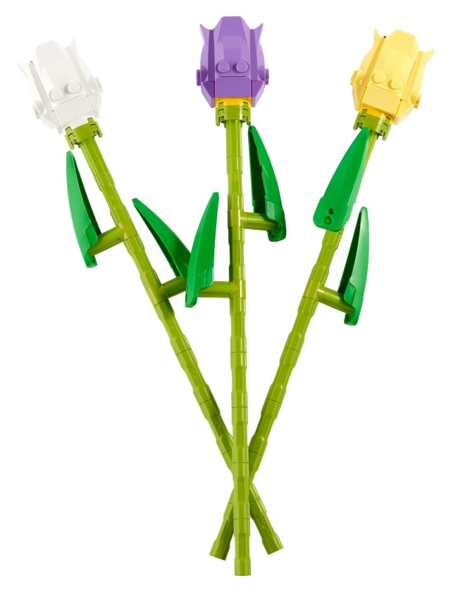 Tulipany