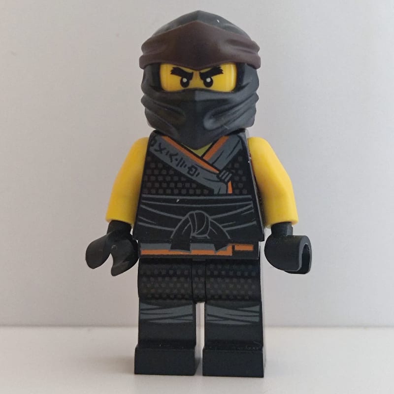 Cole in Sons of Garmadon Robe (Legacy)