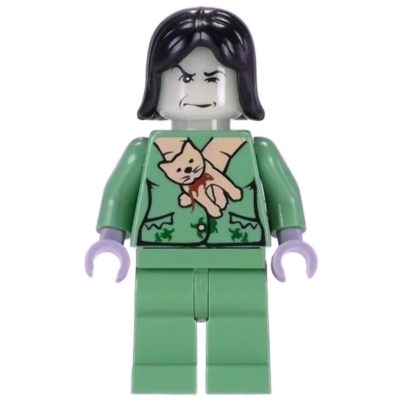 Professor Snape Boggart, Black Hair