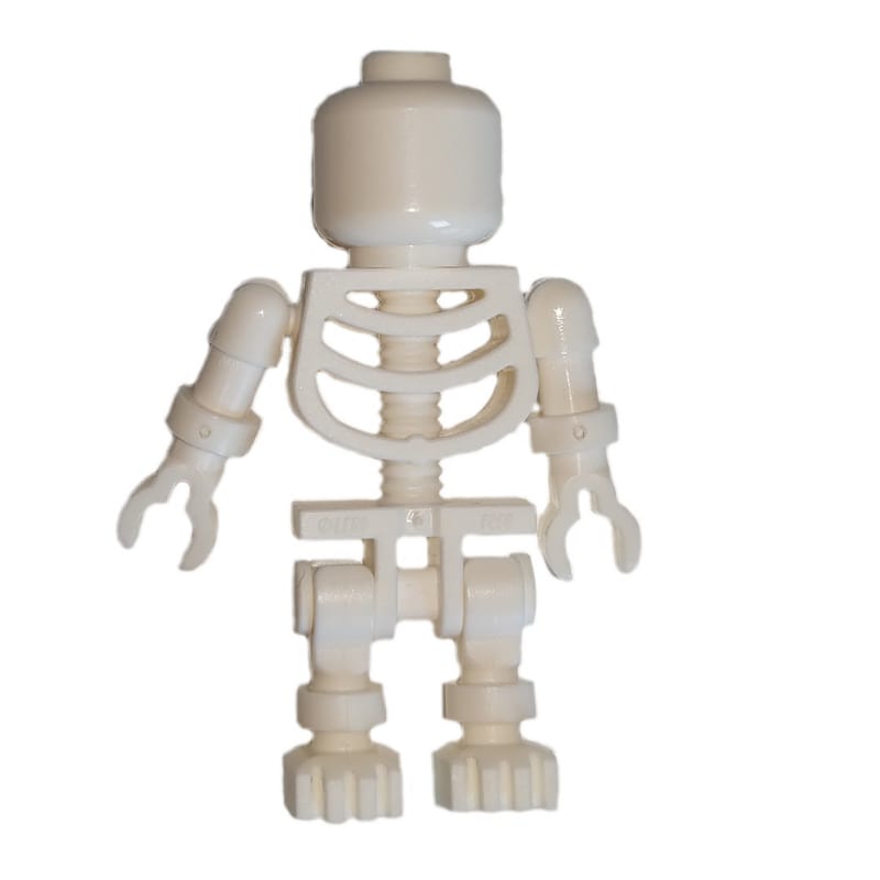 Skeleton, Plain Head
