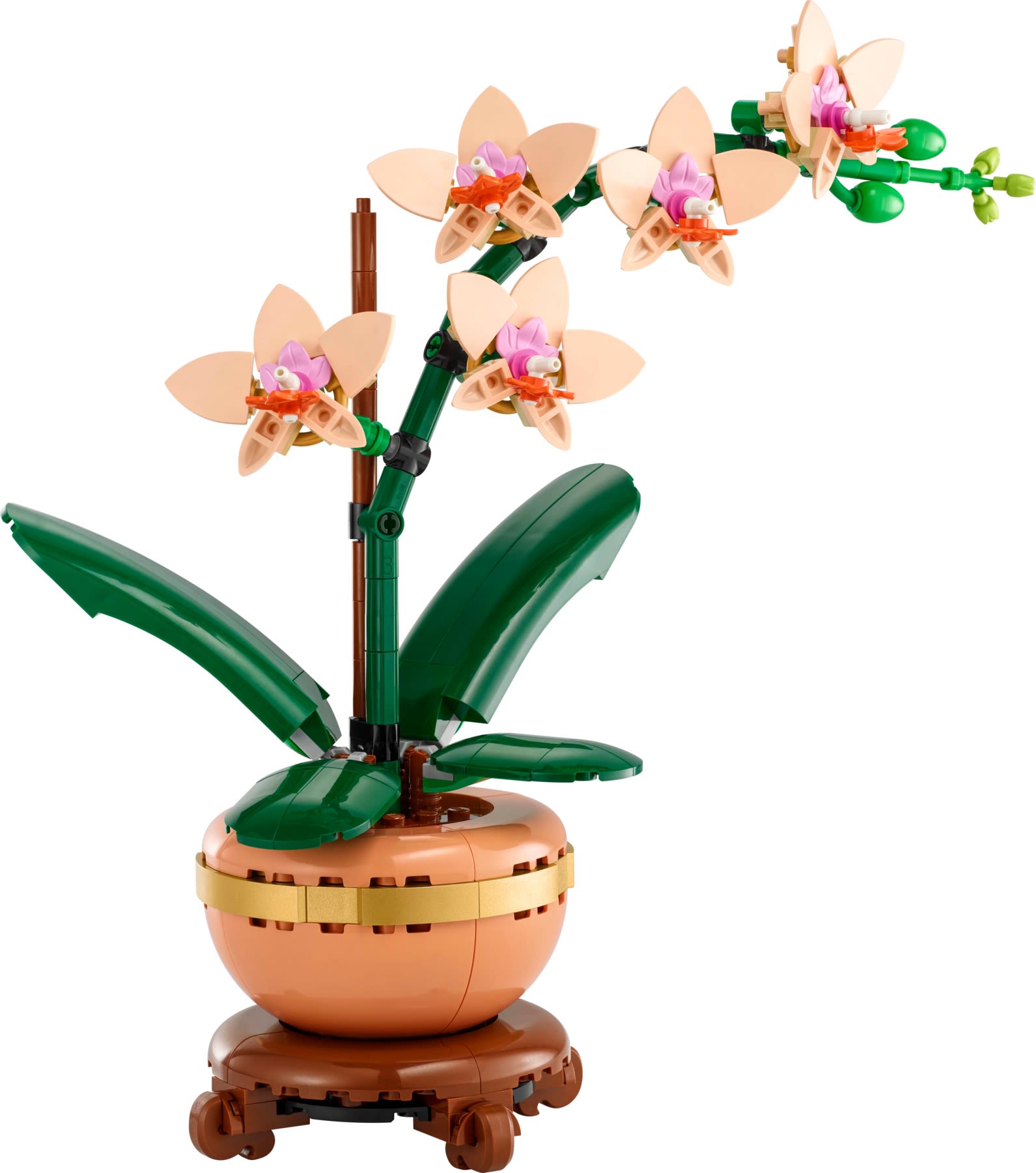 Mała orchidea