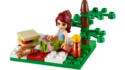Summer Picnic