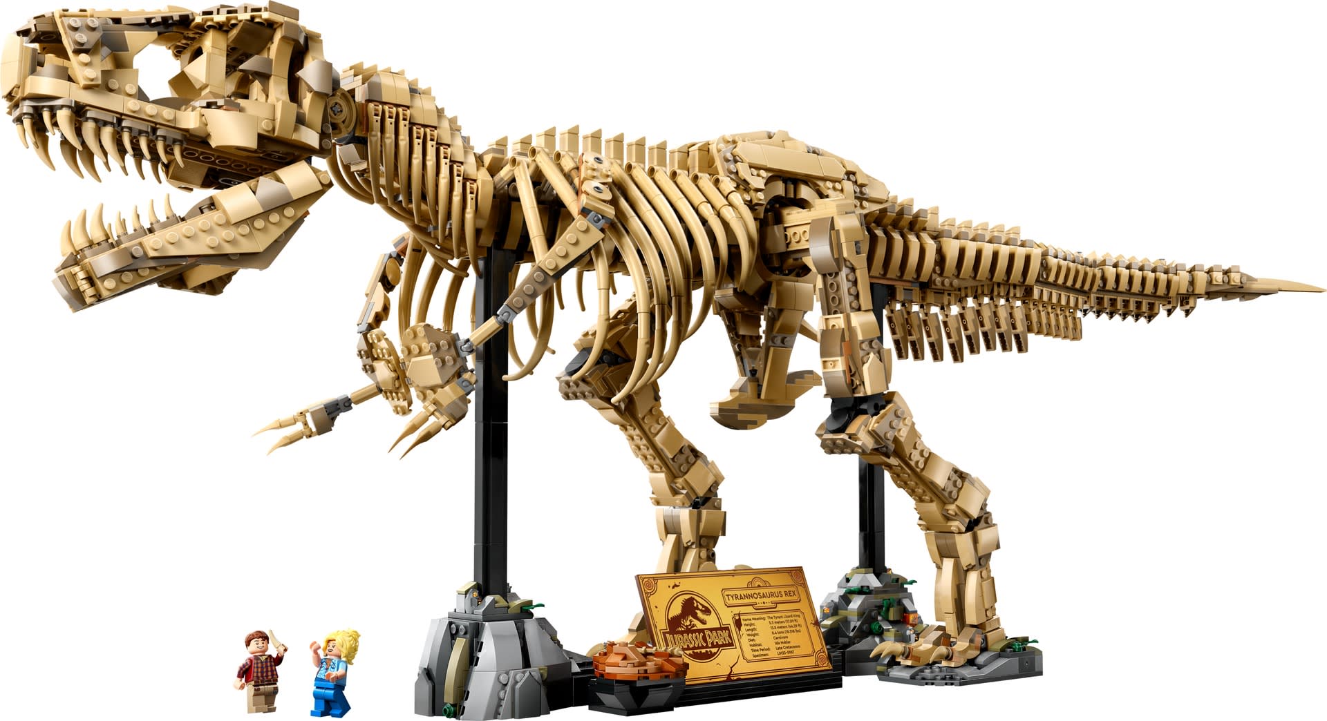Szkielety dinozaurów: tyranozaur