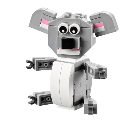 Koala