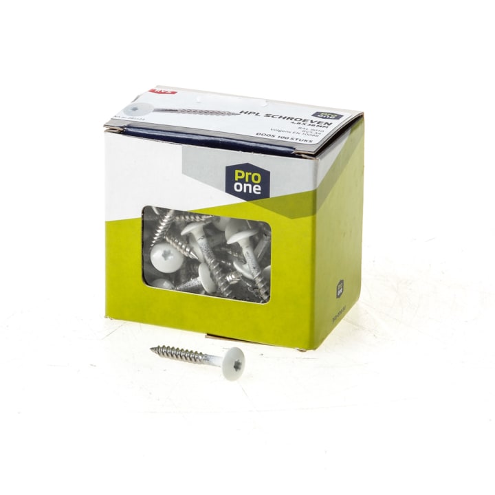 Kleurkopschroef 4,8x38 rvs R9010 wit tx20 (100)