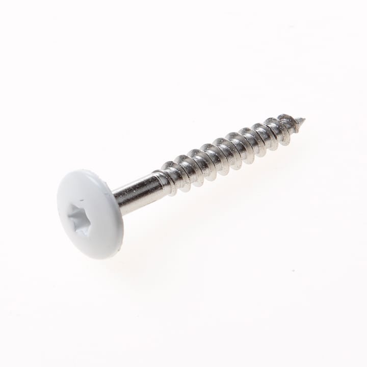 Kleurkopschroef rvs 4,8x38mm wit ral9010 4,8x70 t22