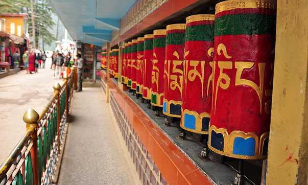 mcleodganj tour package