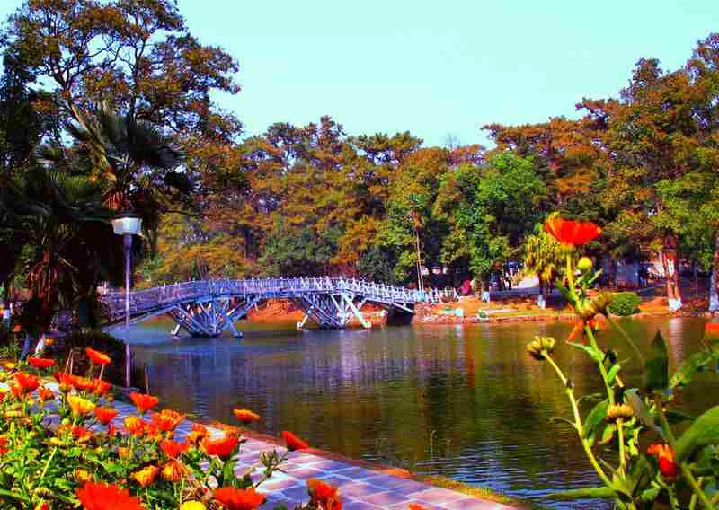 ward-s-lake-wards-lake-shillong-cherry-blossom