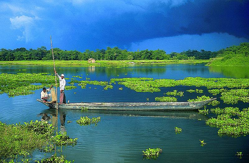 Tarin Fish Farm