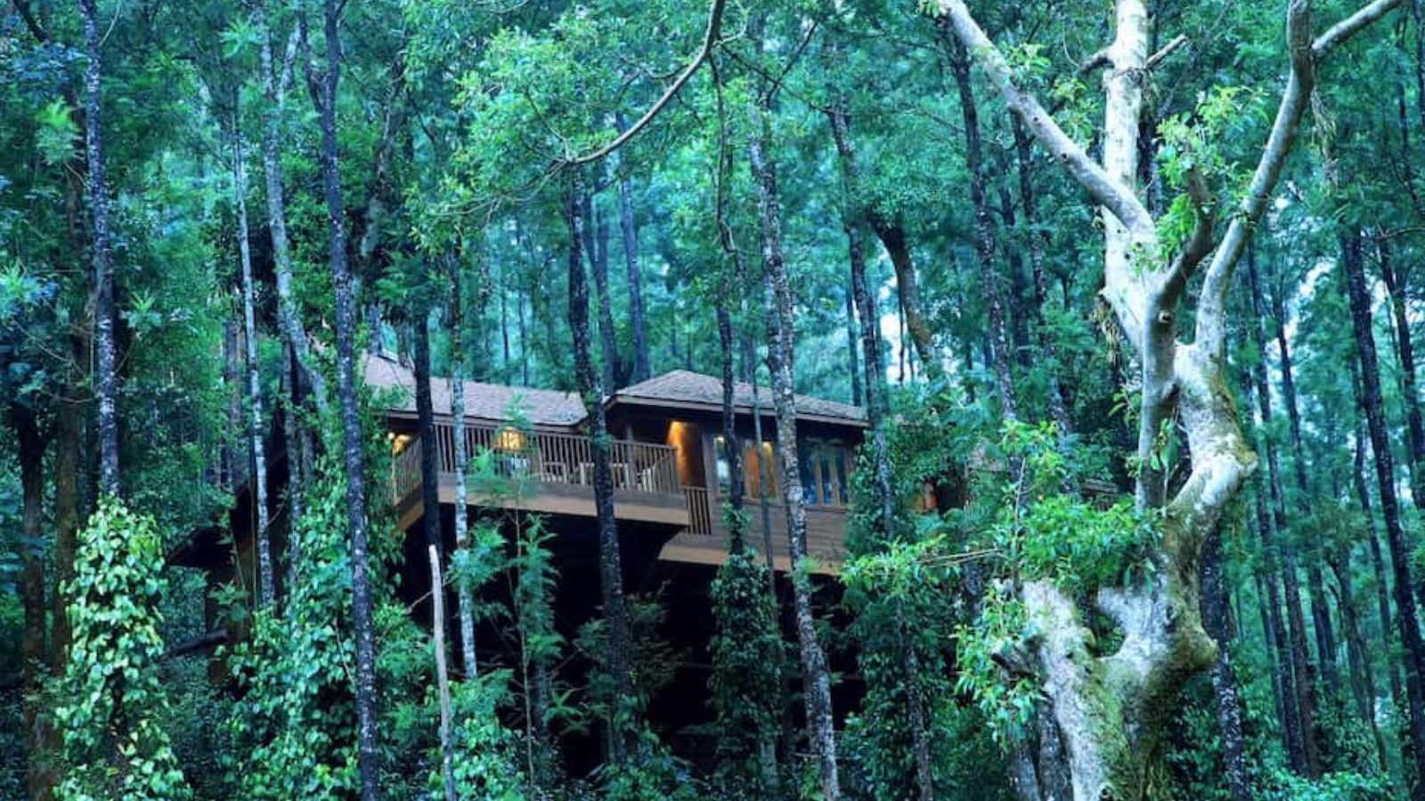 top-10-best-cold-places-to-visit-in-india-during-summer-2024