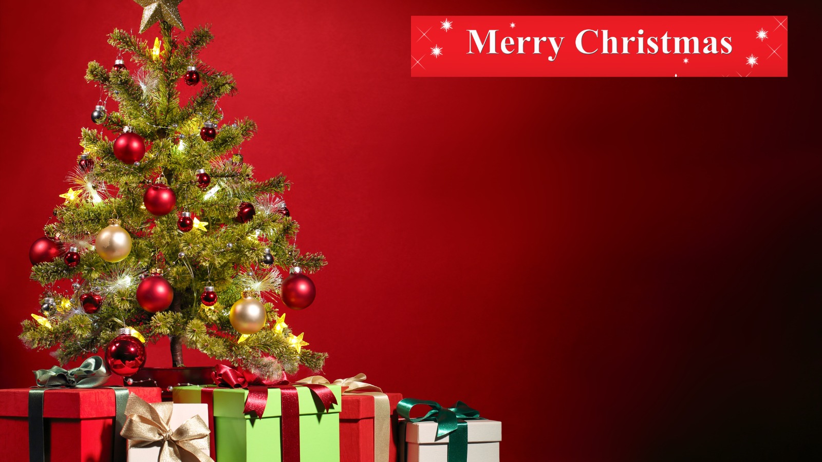 Merry Christmas 2024: Sparkling Lights, Christmas Wishes Merry Christmas 2024: Sparkling Lights, Christmas Wishes
