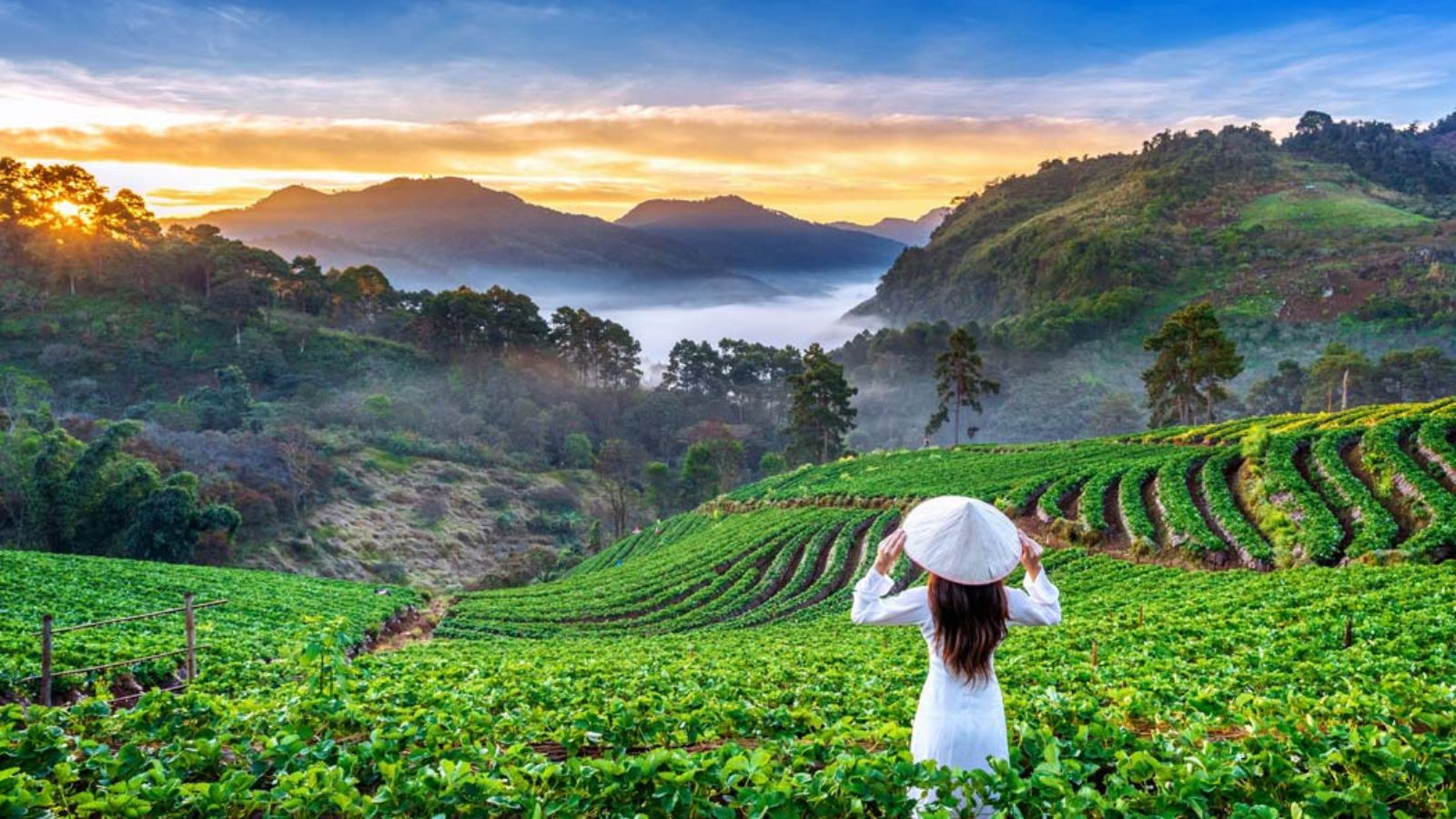 Best Places to Visit in India in March 2026 | Weather & Travel Guide