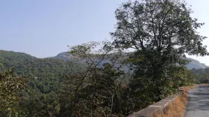 amboli 1