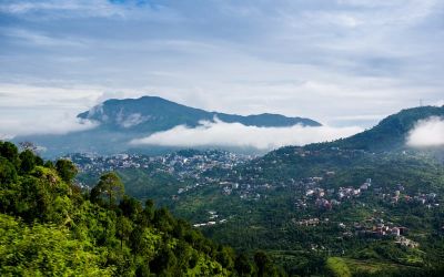 The chestnut trails in kasauli