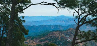 The chestnut trails in kasauli