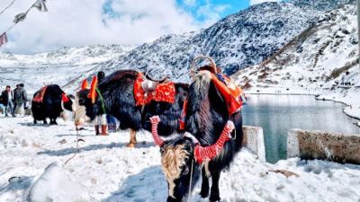 Which Are The Best Places to Visit for Honeymoon in Sikkim
