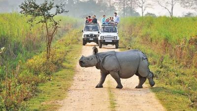 Preserving Heritage Assams World Heritage Wildlife Sites Revealed