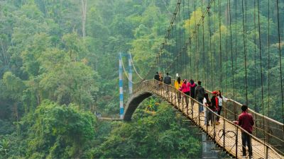 Discover The Top Places To Visit in Meghalaya for a Breathtaking Experience