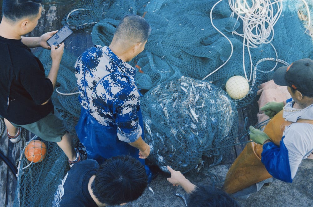 People gathering around fishing nets and the catch