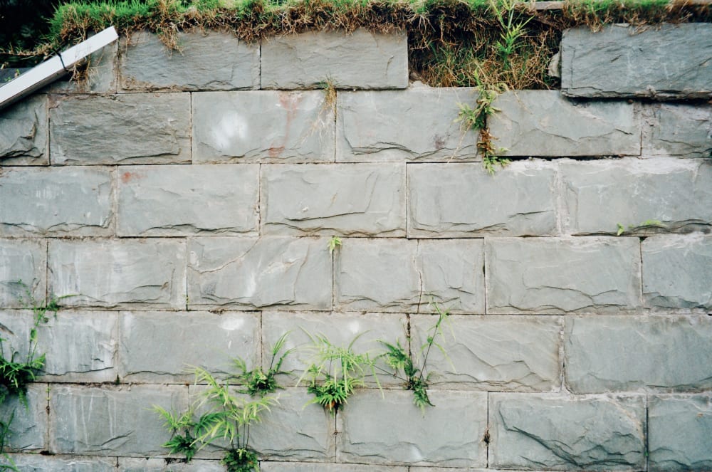 Grass growing between stone wall blocks