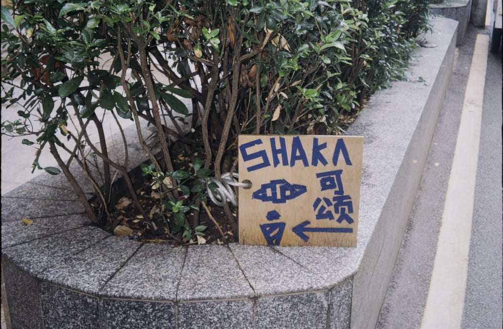 A handmade wooden sign beside a hedge