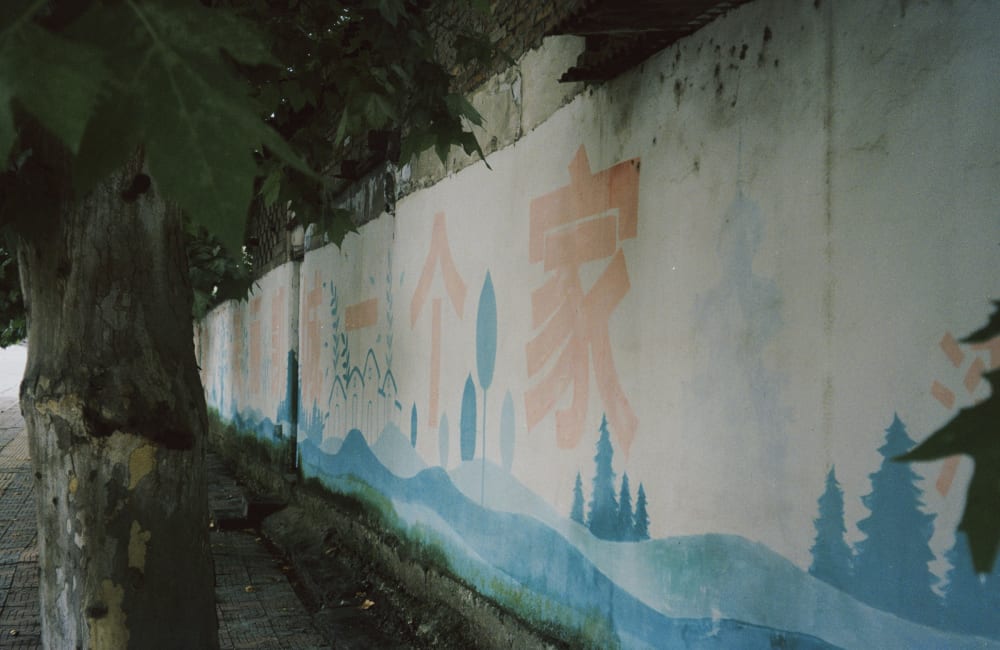 A painted wall beneath leafy trees