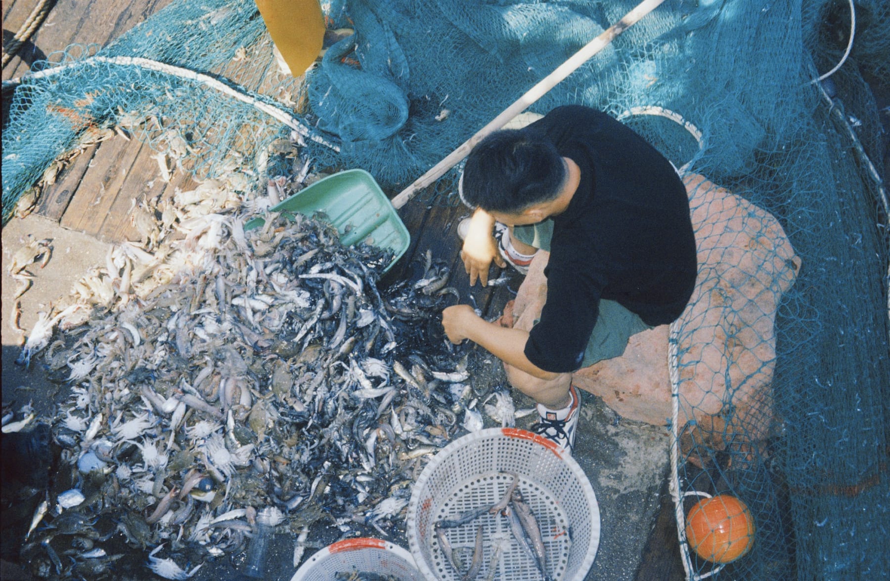 A person sorting the catch on a boat deck