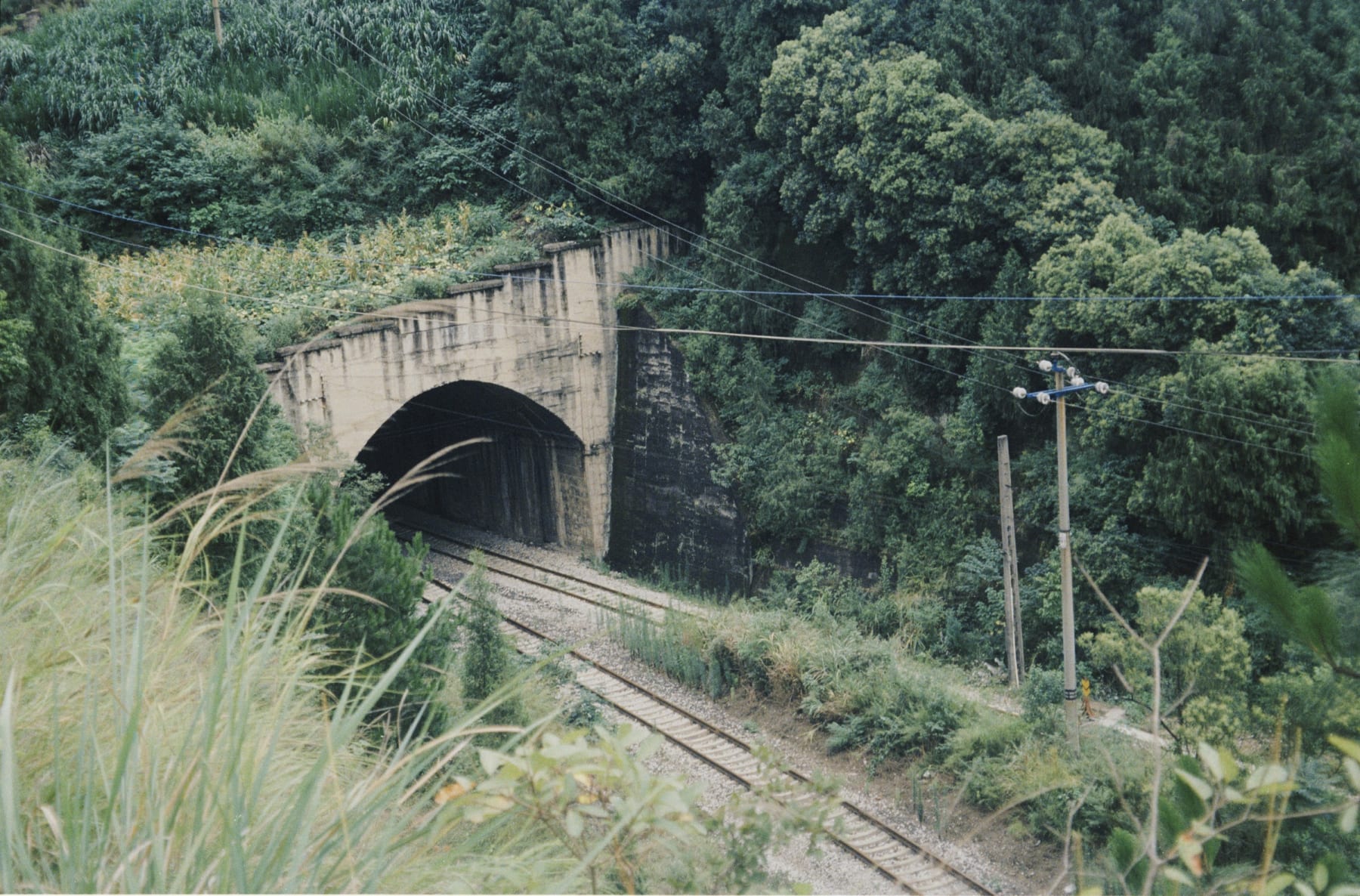 Railway tracks entering a tunnel surrounded by greenery
