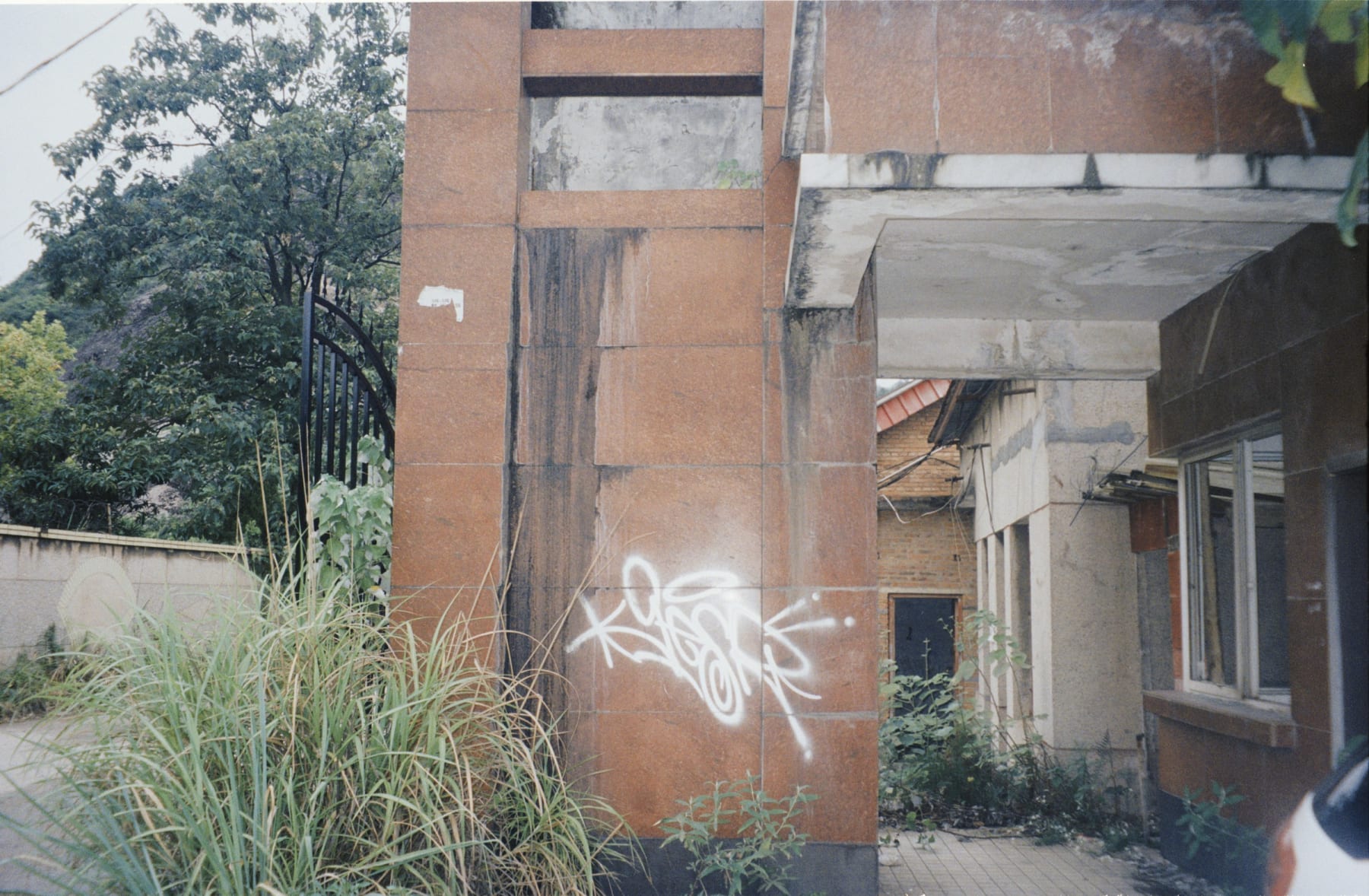 White graffiti on a pillar beside an overgrown entrance