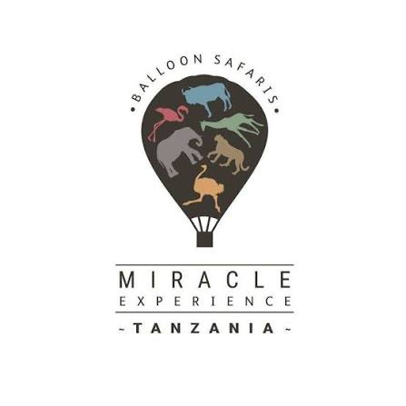 Miracle Experience logo