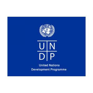 UNDP logo
