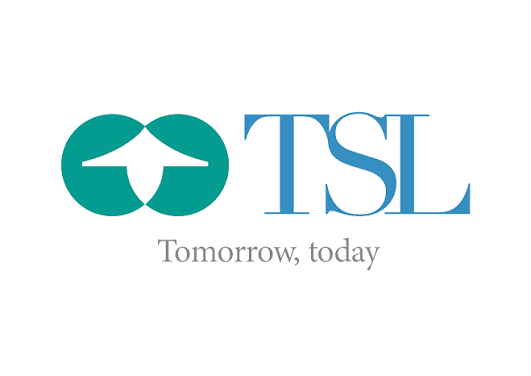Tanzania Securities Limited logo