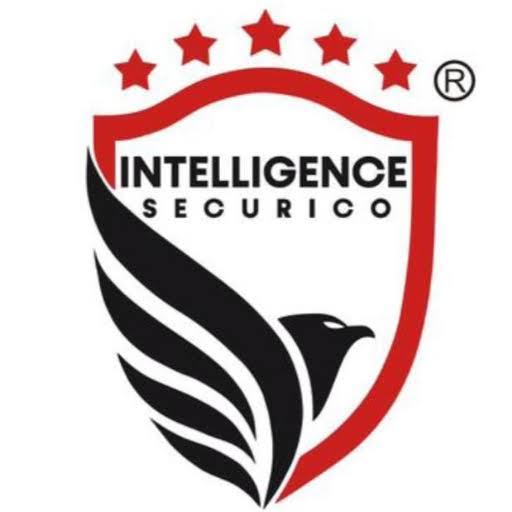 Intelligence Securico Limited logo