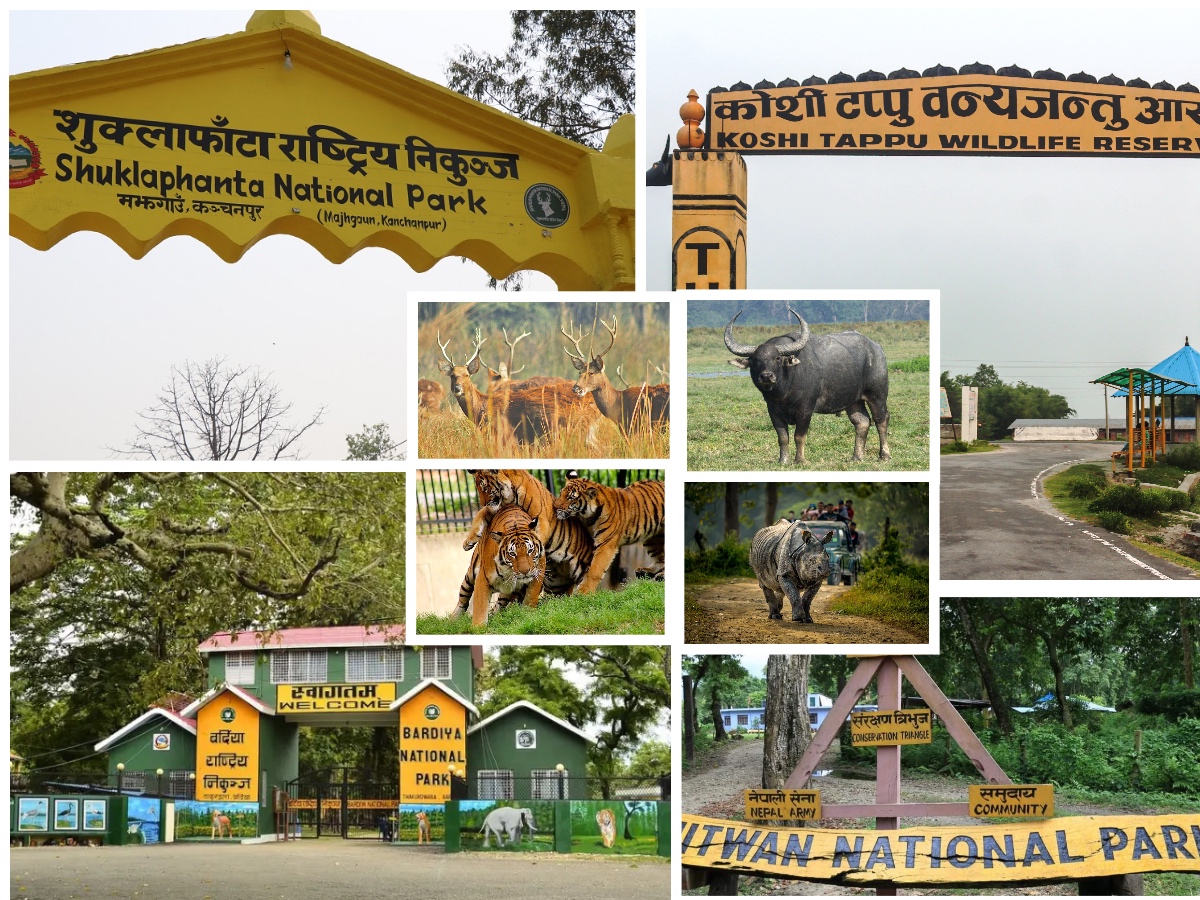 4 National Parks Tour in Nepal