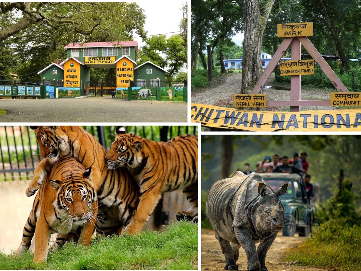 Nepal Wildlife Safari Luxury Tour