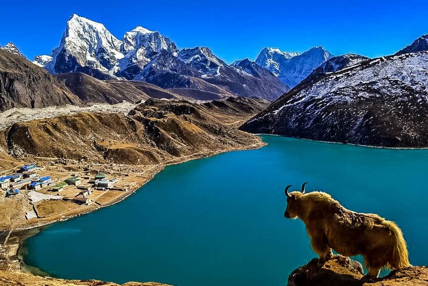 Everest Three High Passes Trek