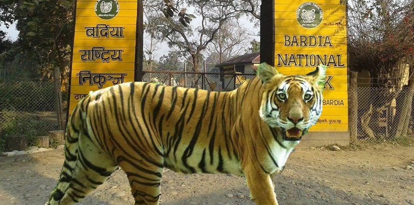 Bardiya National Park Jungle Safari Tour
