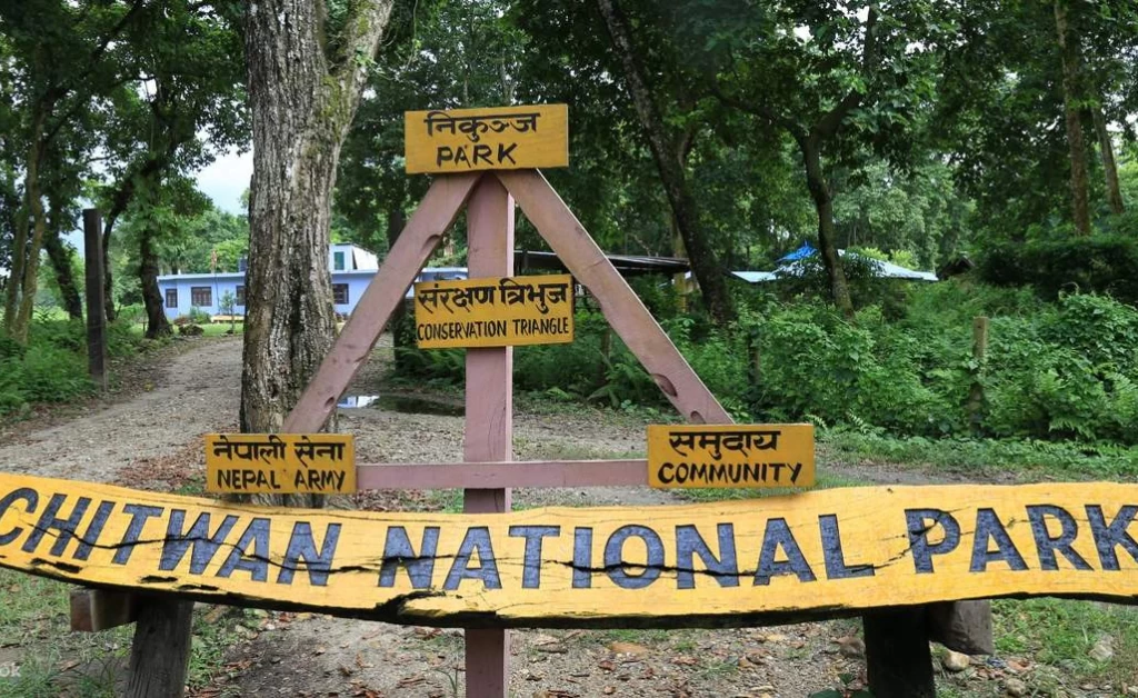 Chitwan National Park Jungle Safari Tour