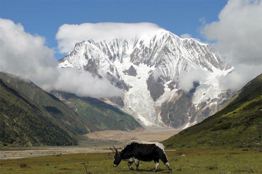 Saipal Himal South Base Camp Trek