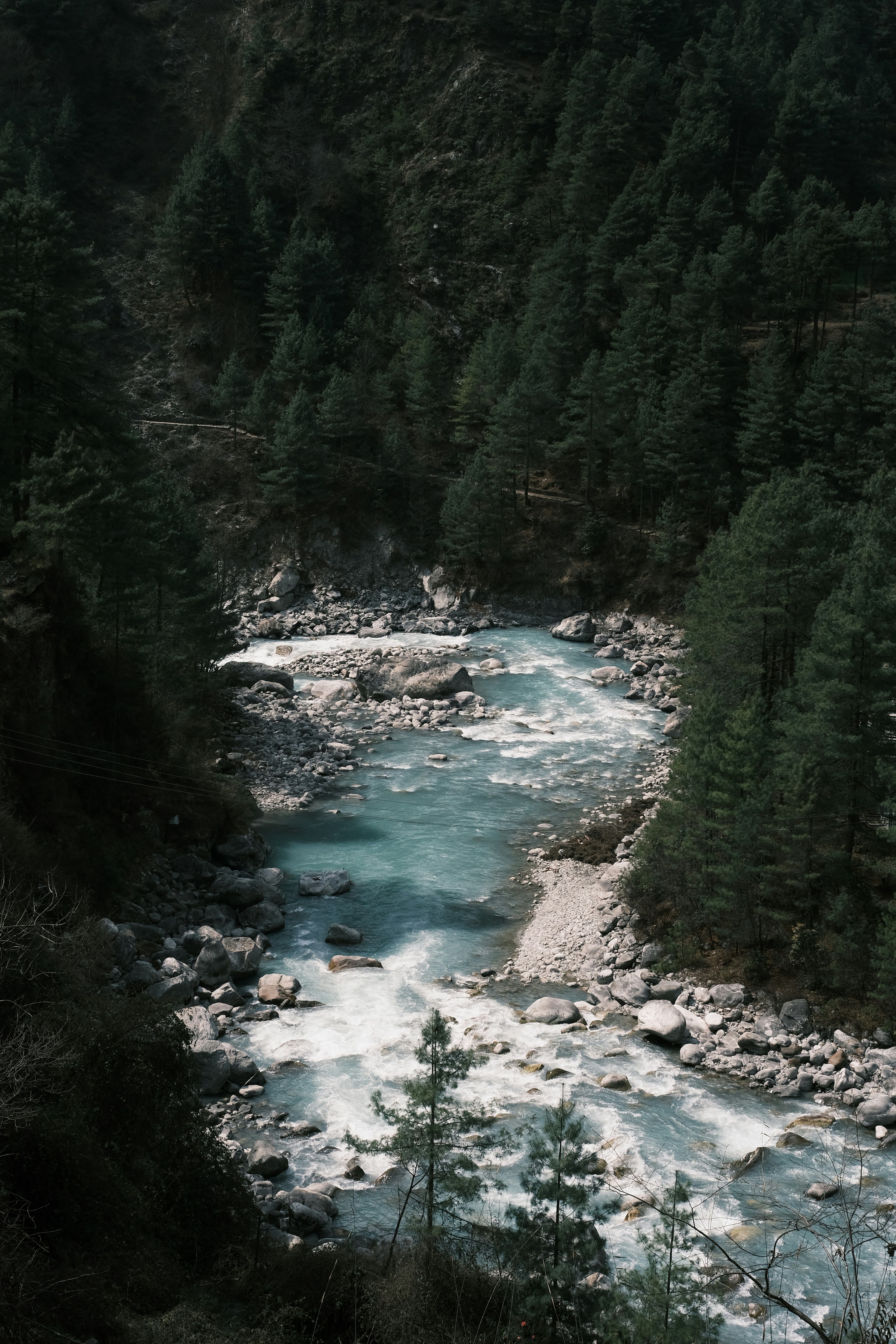 See Nepal