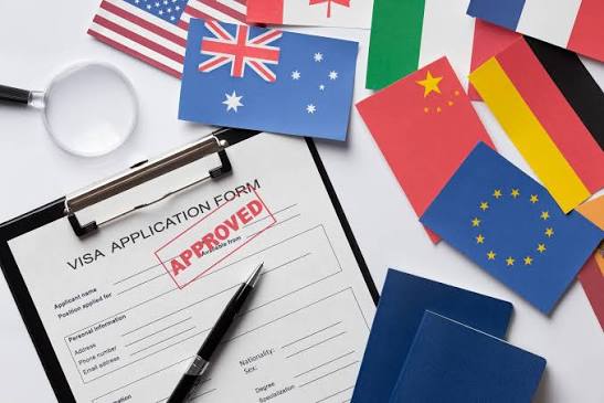 Visa Consultation