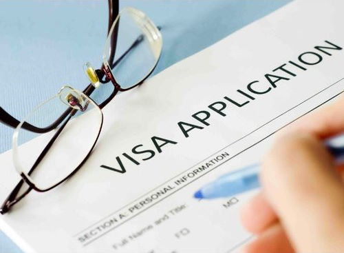 Visa Consultation